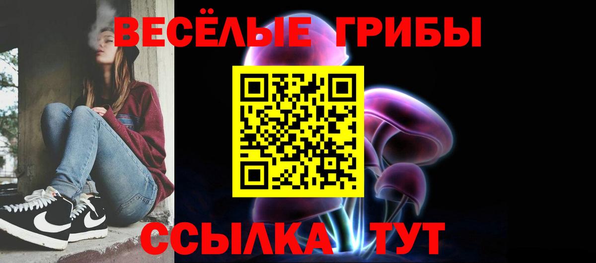 купить наркотики сайты  Псилоцибиновые грибы GOLDEN TEACHER  Вход с VPN  Шатура  Галлюциногенные грибы GOLDEN TEACHER 